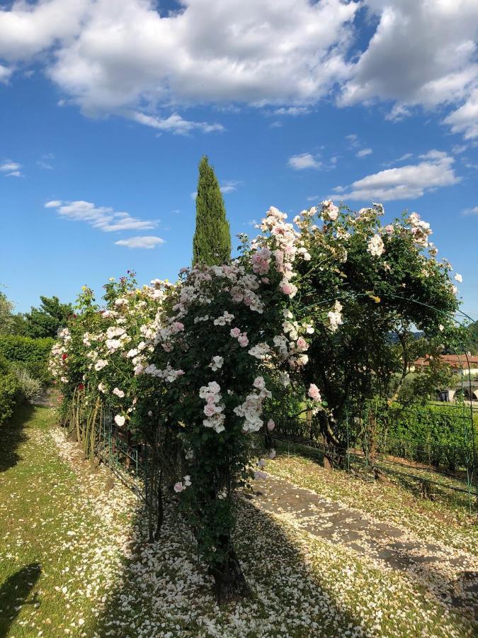 Il Giardino Di Flora Hotel Buti Exterior photo
